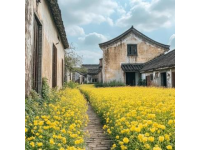 潮州之旅必備指南:從古城到海濱景點(diǎn),一站式游記指南