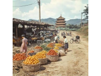 道外花鳥魚市轉(zhuǎn)型啟示錄：傳統(tǒng)區(qū)域煥發(fā)新生的探索與實踐