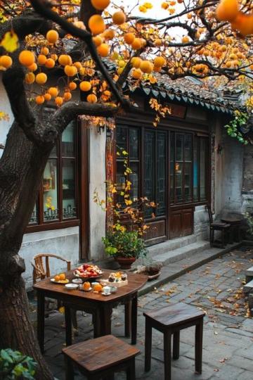 杭州最文藝的老街：小店、博物館和當(dāng)?shù)孛朗车耐昝澜Y(jié)合