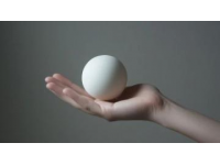 揭秘：為何鵝蛋鮮有人問(wèn)津？產(chǎn)量低與成本高是關(guān)鍵
