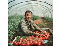 宜賓永興：將工業(yè)與農(nóng)業(yè)的和諧相結(jié)合，譜寫(xiě)食材新篇章