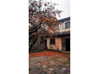 潼南桃樹下的網(wǎng)紅涼粉攤：藏在鄉(xiāng)下，游客到此必打卡