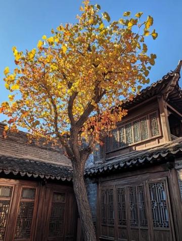 莊行古鎮(zhèn)，都市中的靜謐之地