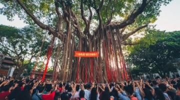 臺安遼河文化旅游節(jié)來了！自由入園，暢享美景、美食和熱情的鄰里們！