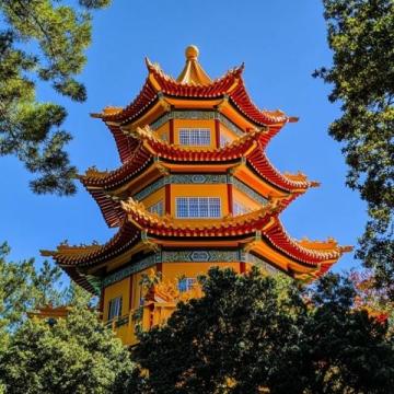 深圳爸媽退休生活：每月13500元養(yǎng)老金，暢游美食天堂車公廟