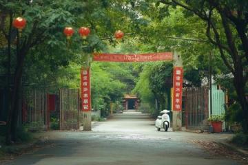 深圳爸媽退休生活：每月13500元養(yǎng)老金，暢游美食天堂車公廟