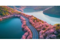 五一杭州小眾游玩路線推薦：避開人潮，體驗寧靜美景