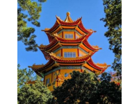 深圳爸媽退休生活：每月13500元養(yǎng)老金，暢游美食天堂車公廟