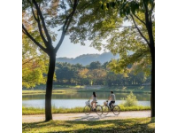 春天適合去哪里玩最好?這2座小城讓你體驗(yàn)慢生活,消費(fèi)低景色美