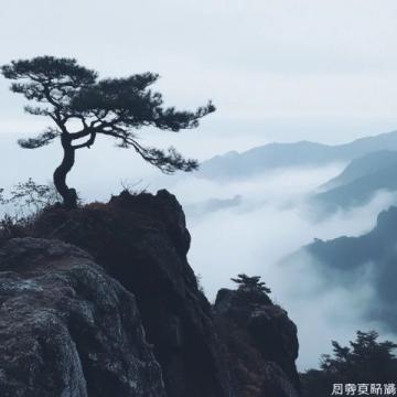 山西長治與運城：哪個城市更適宜居??？