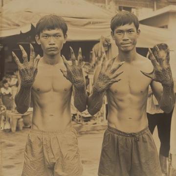 1950年前后，印尼當時發(fā)生了嚴重的排華事件，許多華僑回到祖國