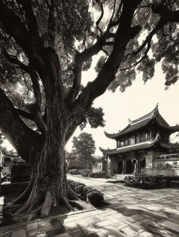 泉州行程總結(jié)：再游泉州,又回首福建之旅