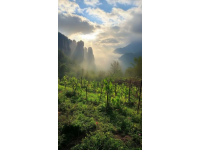 重游張家界：十年變遷與不變的美景回憶