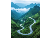 海外創(chuàng)業(yè)輝煌路：兩年內(nèi)如何讓夢想照進(jìn)現(xiàn)實(shí)——從阿聯(lián)酋的水果市場到勞斯萊斯座駕
