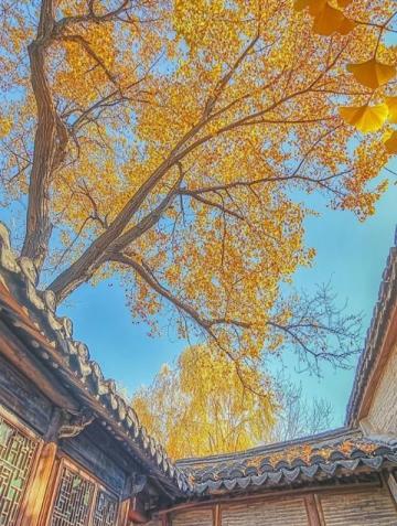 徐州祥海砂鍋居：三十年老字號，非遺傳承的美味探索