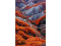 不容錯過的視覺盛宴！東川紅土地攝影指南，打翻的調(diào)色盤等你來發(fā)現(xiàn)