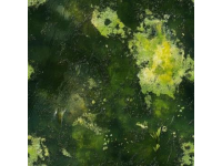 百態(tài)人生：歲月流動中的浮萍與蜿蜒河