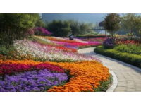 成都春日花園盛景：春花第三期賞花指南來(lái)襲