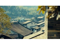 浙南深處時(shí)光秘境：免費(fèi)探訪碗窯古村自駕游