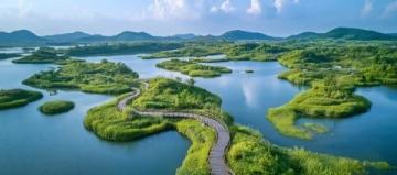 碭山位于中國(guó)安徽省宿州市，以其豐富的自然資源和獨(dú)特的文化特色而聞名