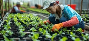 護(hù)苗知識科普游山西村解鎖知識密碼,助力青春成長