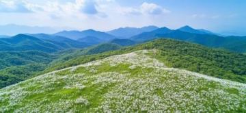探索谷城自然奇景——老軍山的歷史、文化與四季風(fēng)光之旅