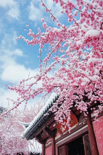昆明春天美好季節(jié)！3月-6月打卡地美食推薦