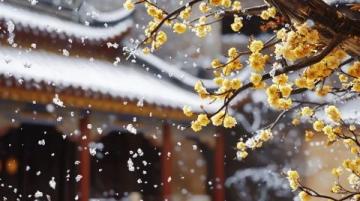 雅丹梨花盛開：春日里的雪景詩篇，純凈而浪漫的世外桃源