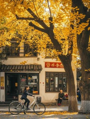 昆明版筑后街銀杏林賞景攻略：金色時光攝影圣地