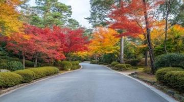 秋日漫步：美食相伴的公園游記，美景定格在鏡頭中