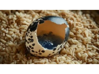 家常版虎皮雞蛋：簡(jiǎn)單步驟做出美味佳肴