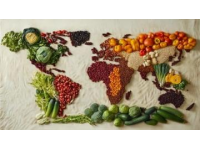 全球美食狂歡：傳統(tǒng)與現(xiàn)代交融的文化盛宴