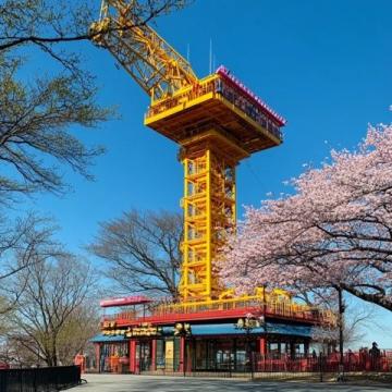 青島三天兩晚原創(chuàng)游玩攻略，結(jié)合青島經(jīng)典景點、特色美食和文化體驗，合理規(guī)劃行程