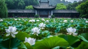 蘇州兩天一夜行程: 蘇州古典園林、昆亭、獅子林等名景盡收眼底