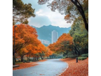 綿陽九皇山，自然與人文完美結(jié)合的好去處