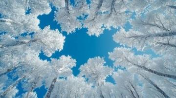 在白雪皚皚的世界中，感受唯一的絢麗美景