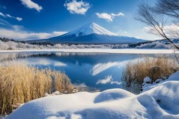 在白雪皚皚的世界中，感受唯一的絢麗美景