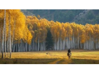 漫步桐廬詩(shī)意山水的寧?kù)o畫(huà)卷