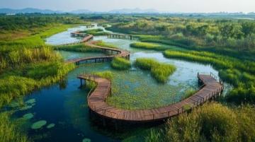 清遠(yuǎn)飛來(lái)湖濕地公園免費(fèi)開放，特惠活動(dòng)及交通、住宿指南