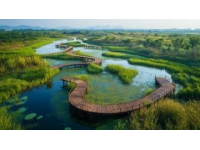 清遠(yuǎn)飛來(lái)湖濕地公園免費(fèi)開放，特惠活動(dòng)及交通、住宿指南