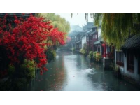 江南春更勝！品一品昆山水鄉(xiāng)美好生活