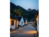 新昌西坑古村：小溪穿村而過(guò)，精致臺(tái)門(mén)建筑群與故居相伴