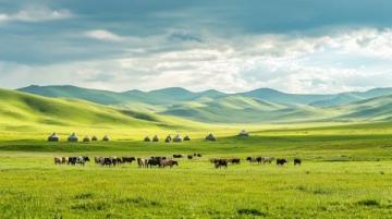內(nèi)蒙古旅行心得分享：實(shí)用攻略與真實(shí)體驗(yàn)！