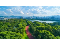 粵港澳買家必看！清遠美林湖：優(yōu)質(zhì)房源、教育資源及生活便利性全覽