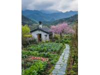 

貴州春食盛宴：舌尖上的春意盎然，自然與美食的交響曲