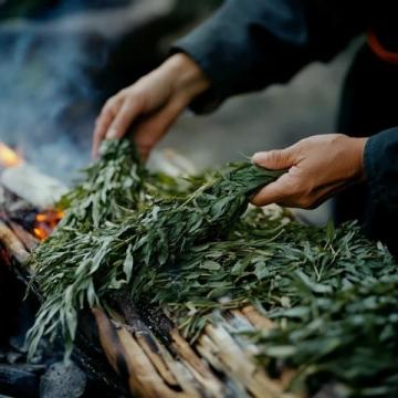 五月炎夏必備：酸辣裙帶苗拌蕨根粉，開胃又健康！