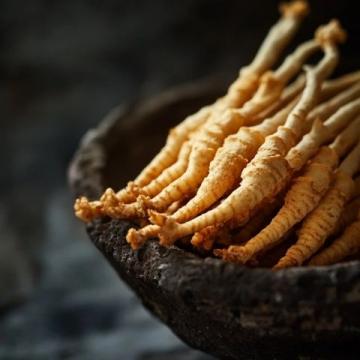 舌尖上的蓮藕：一場從根到籽的美味之旅