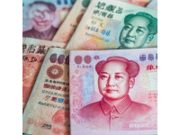掌握金絲楠木鑒賞與保養(yǎng)秘籍，成為專業(yè)收藏家

