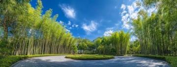 日照竹洞天風(fēng)景區(qū)深度游：探秘竹文化與民族風(fēng)情之旅攻略