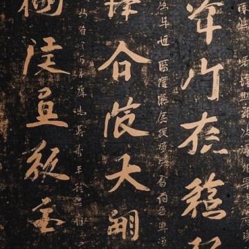 早些年，當(dāng)我初次聽到海月之名時，我覺得有點不可思議,古人竟然把這樣蘊含詩意的名